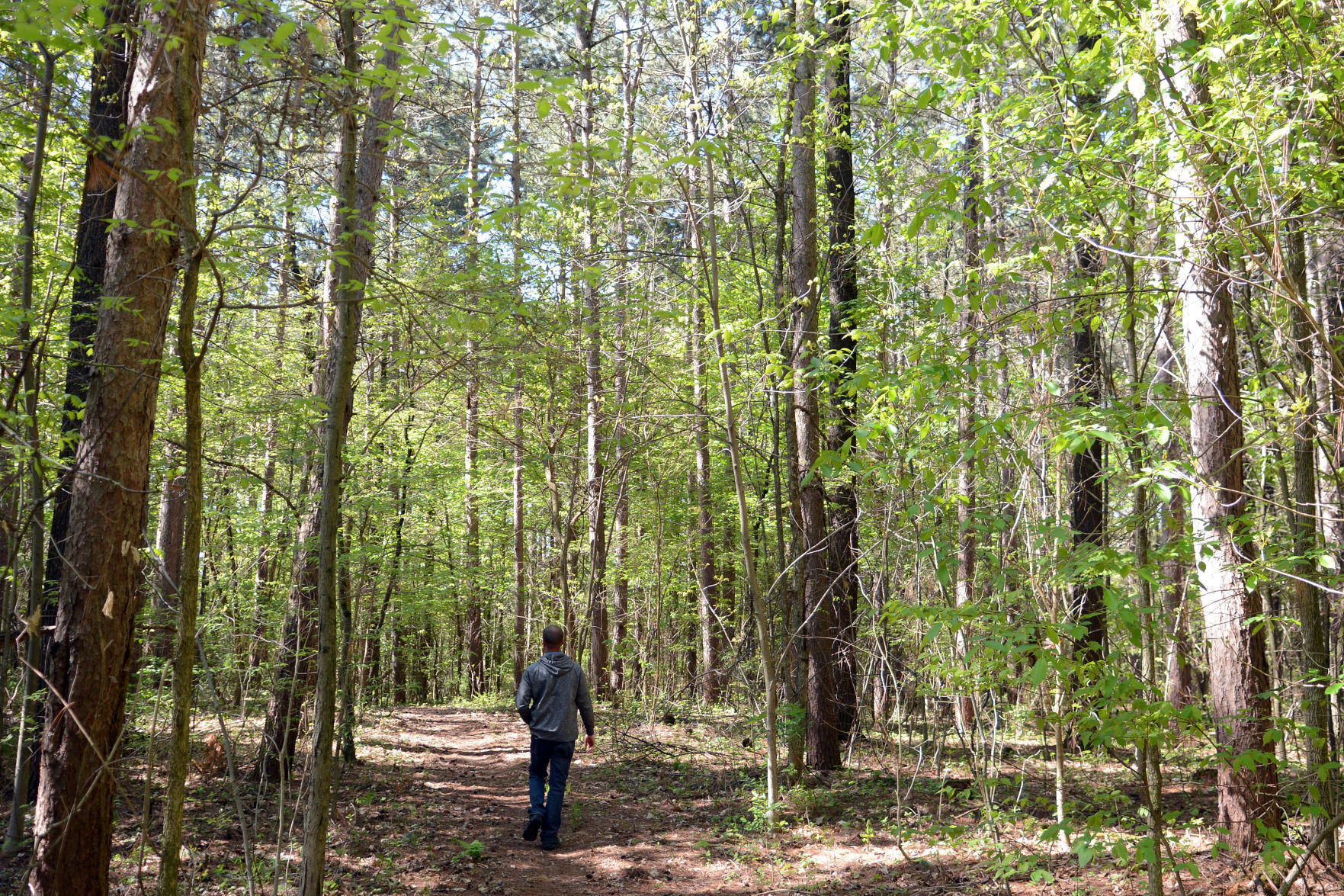 West Baraboo Village Forest